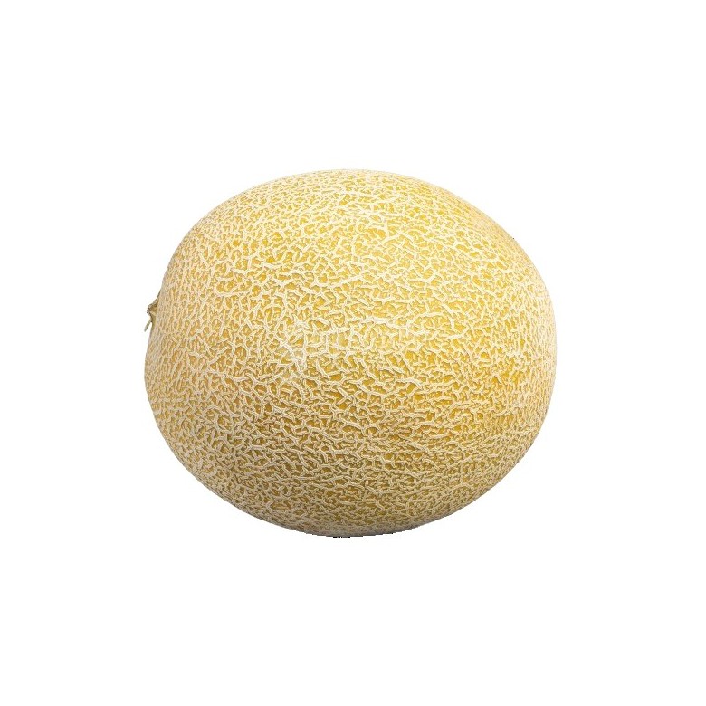 GALIA Melon Organic